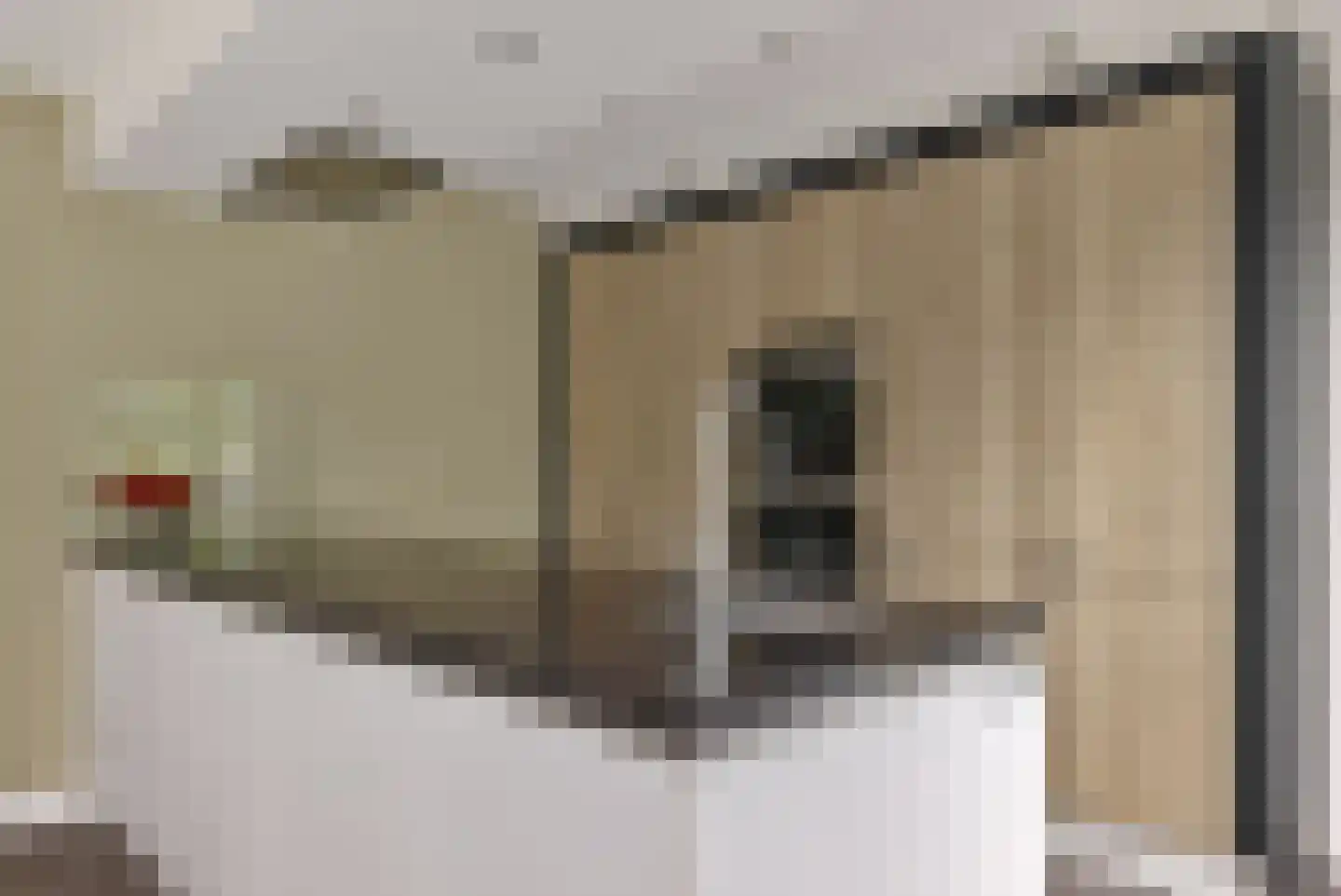 De Swan 19 Joure thumbnail 23
