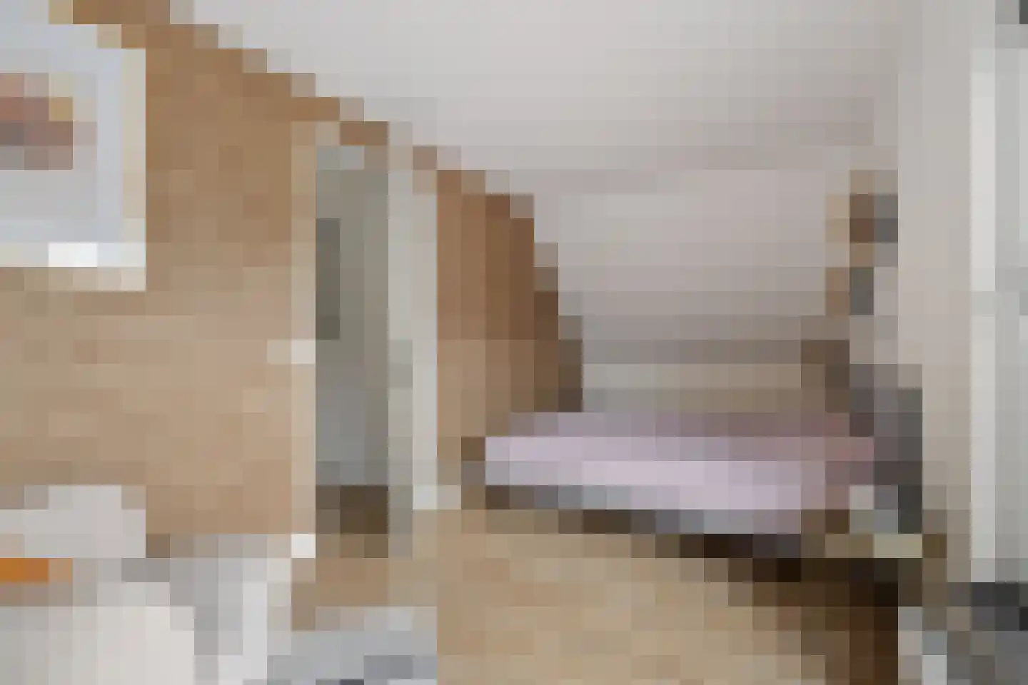 De Swan 19 Joure thumbnail 25