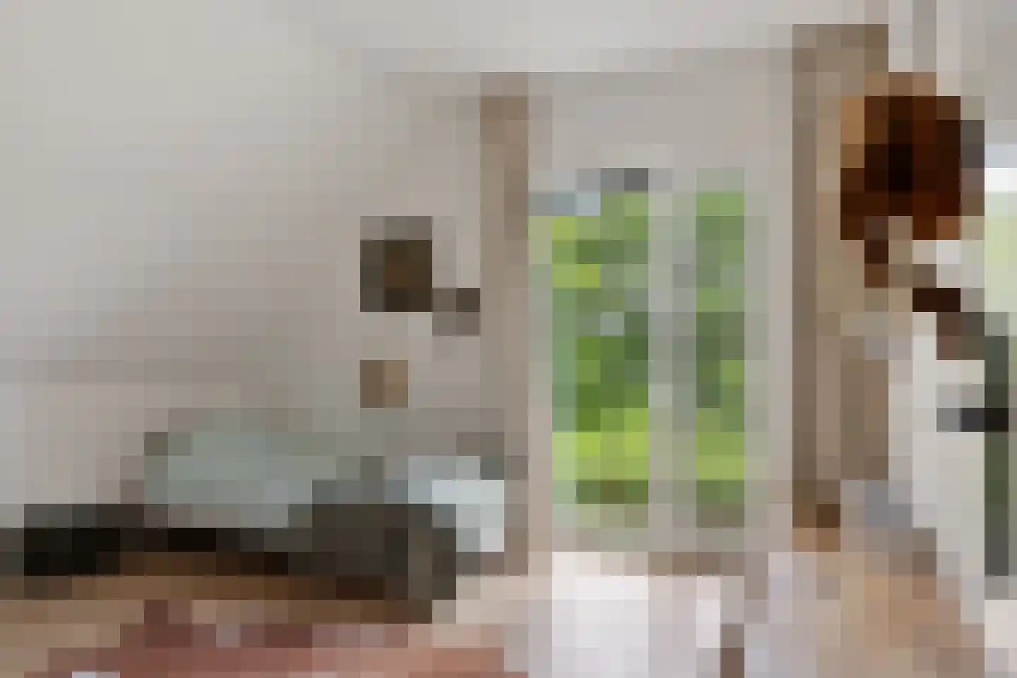 De Swan 19 Joure thumbnail 32