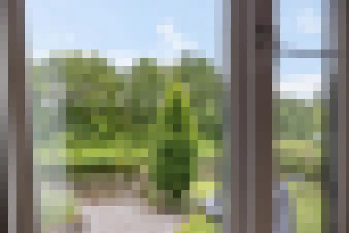 De Swan 19 Joure thumbnail 33