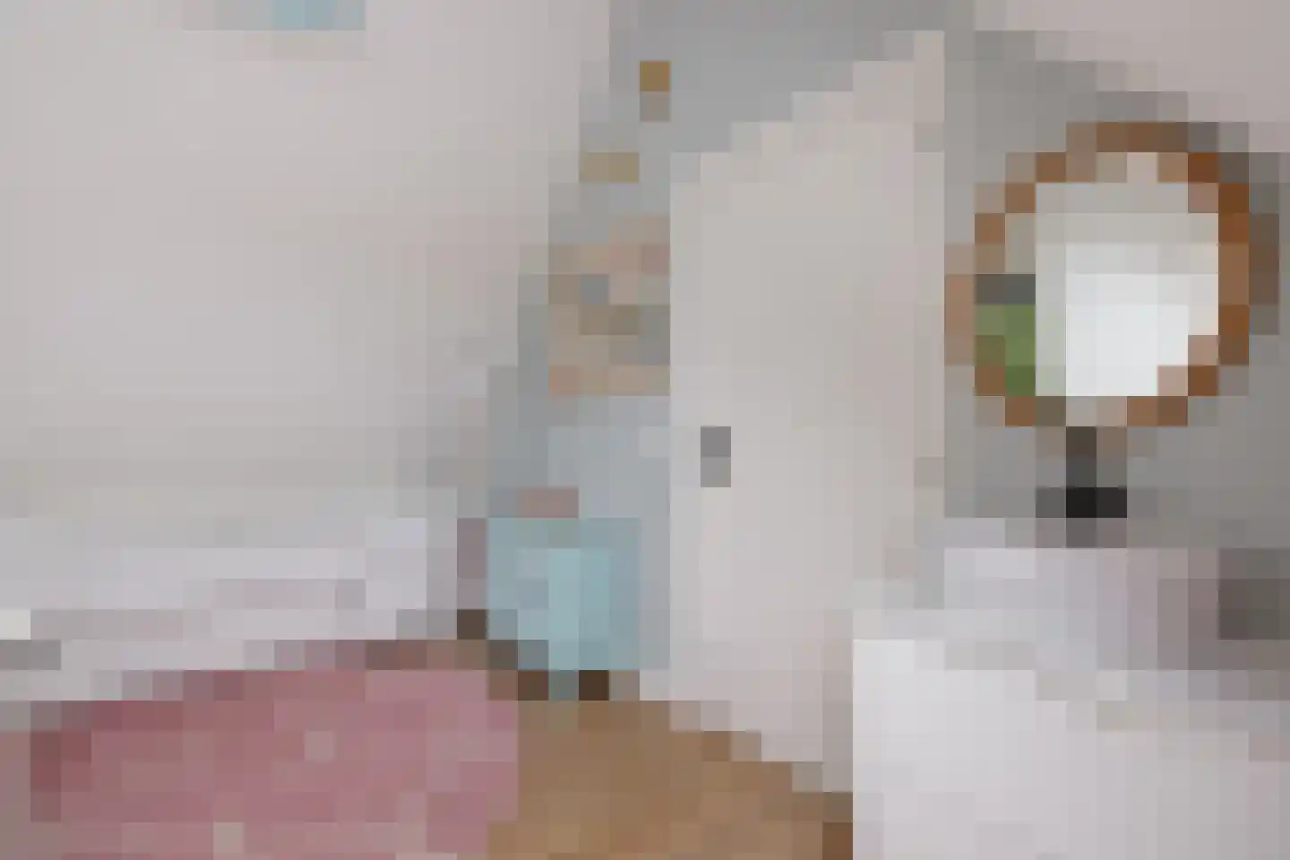 De Swan 19 Joure thumbnail 39