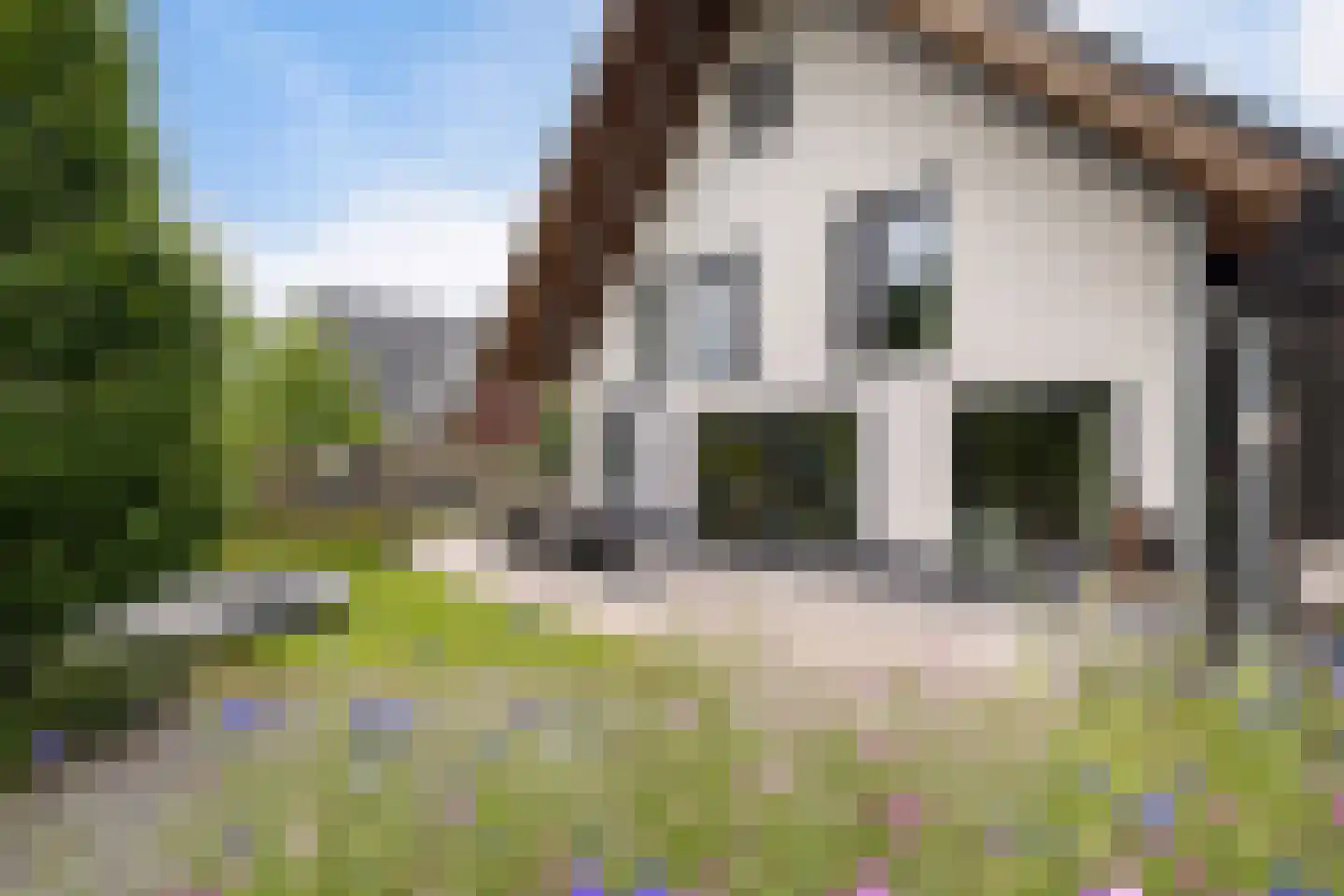 De Swan 19 Joure thumbnail 42
