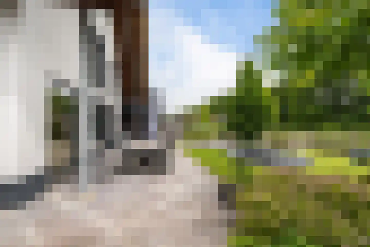 De Swan 19 Joure thumbnail 45