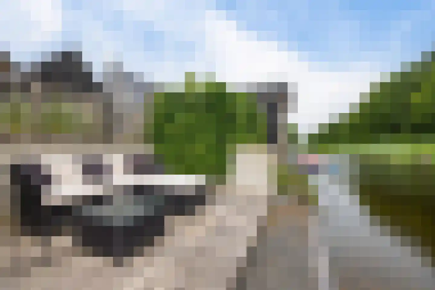 De Swan 19 Joure thumbnail 5
