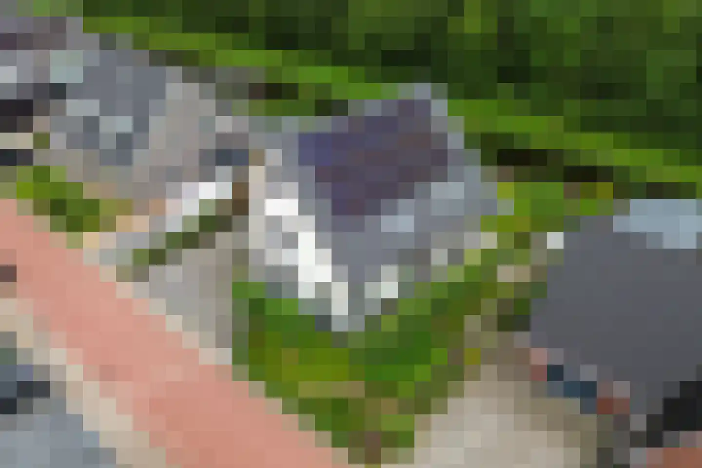 De Swan 19 Joure thumbnail 55