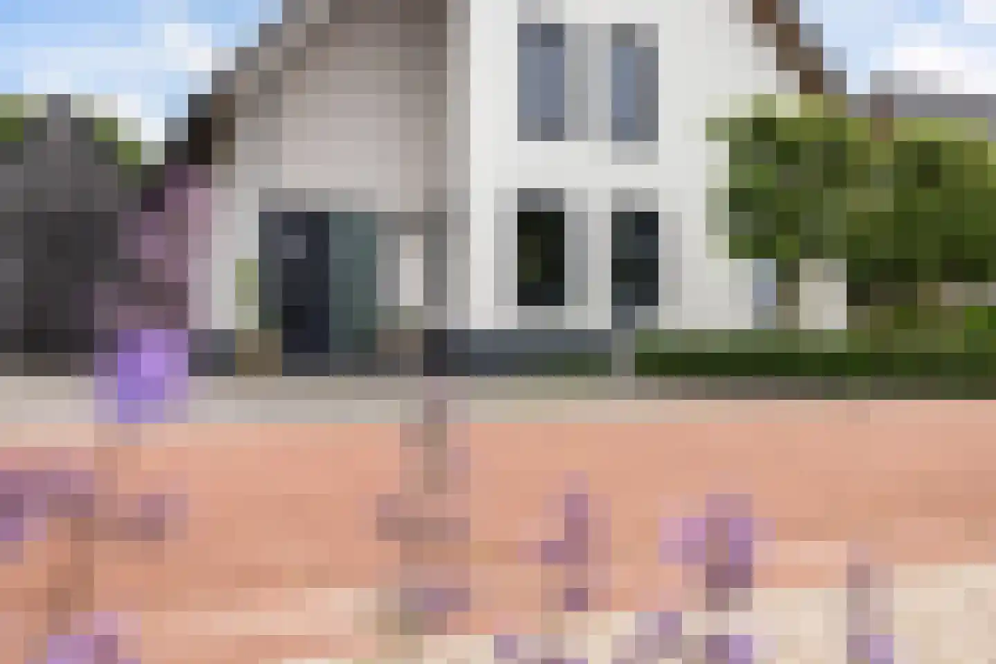 De Swan 19 Joure thumbnail 7