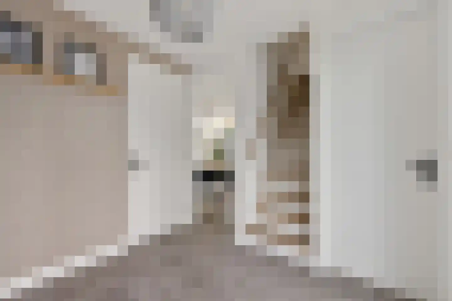 De Swan 19 Joure thumbnail 9