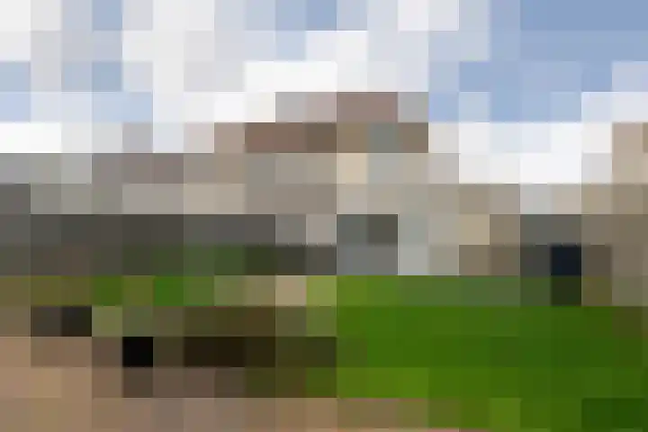 De Swan 27 Bolsward thumbnail 26