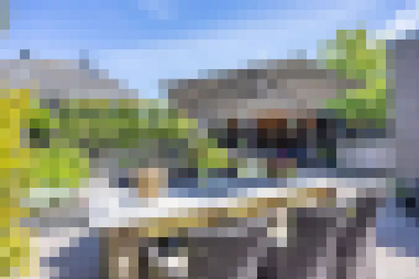 De Swan 55 Bolsward thumbnail 40