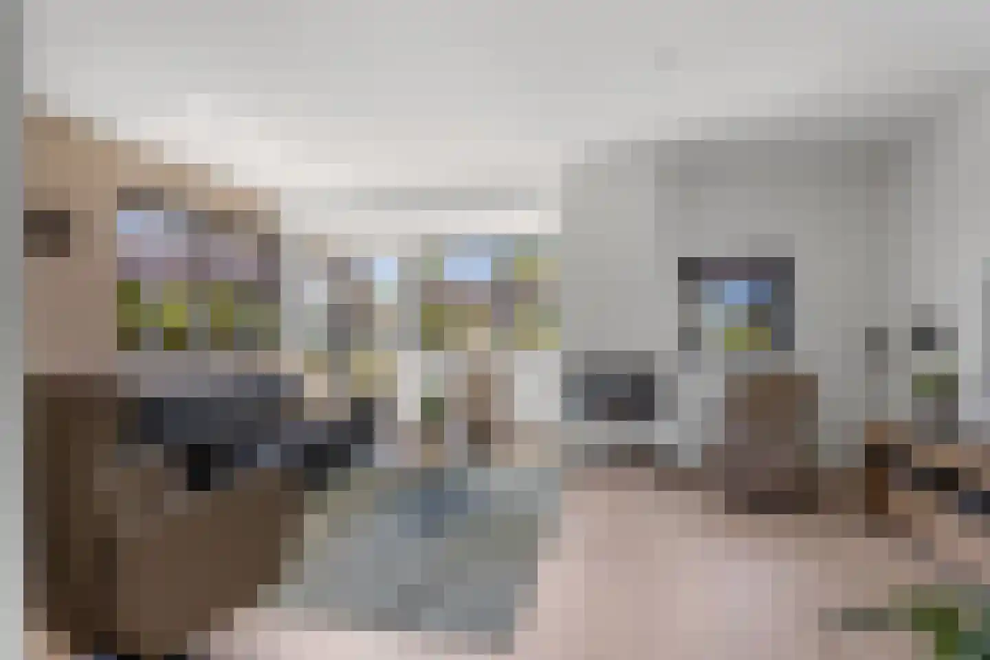 De Swan 55 Bolsward thumbnail 8