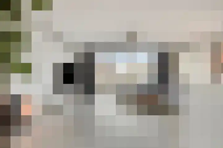 De Swartplan 14 Zoetermeer thumbnail 16