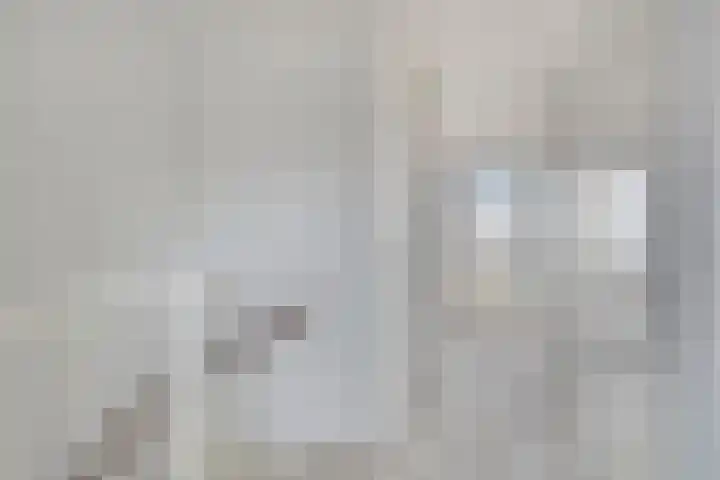 De Swartplan 14 Zoetermeer thumbnail 31