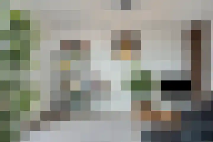 De Swartplan 14 Zoetermeer thumbnail 34
