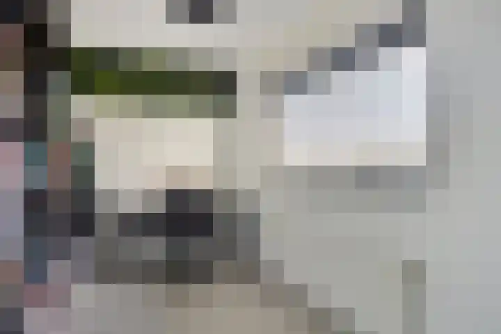De Swartplan 14 Zoetermeer thumbnail 37