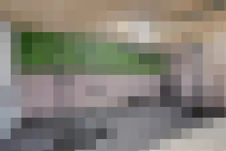 De Swartplan 14 Zoetermeer thumbnail 40