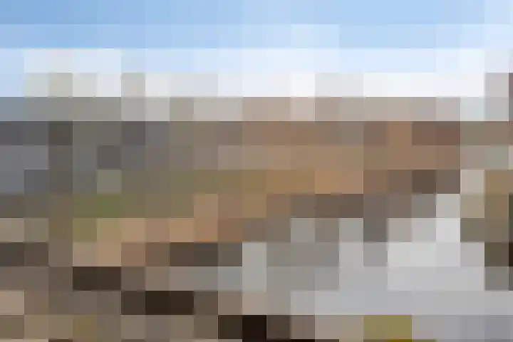 De Swartplan 14 Zoetermeer thumbnail 43