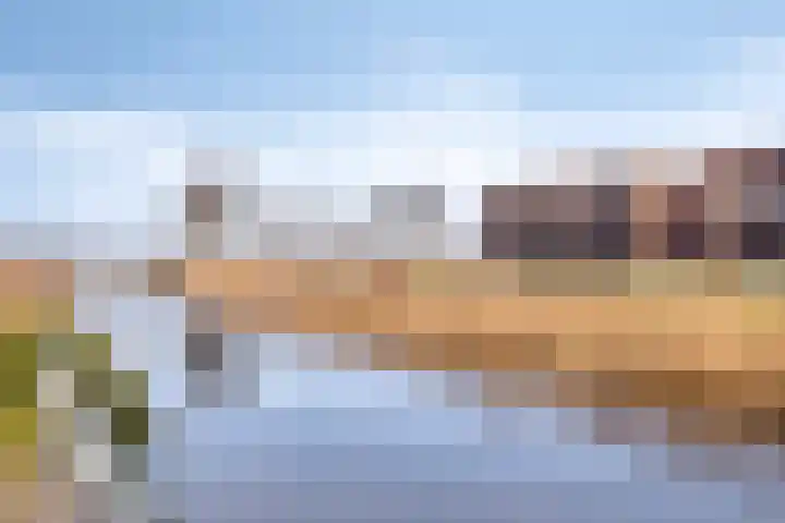 De Swartplan 14 Zoetermeer thumbnail 46