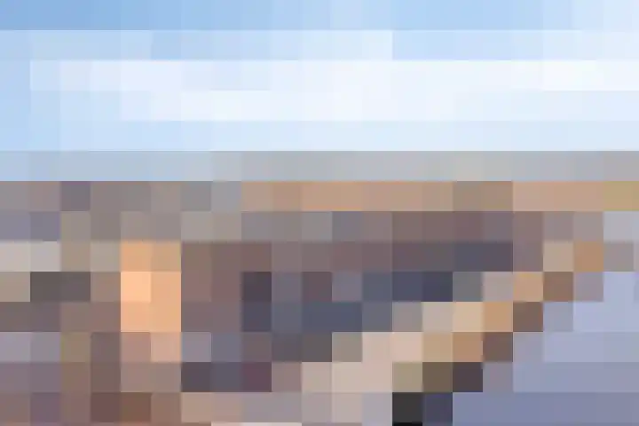De Swartplan 14 Zoetermeer thumbnail 6
