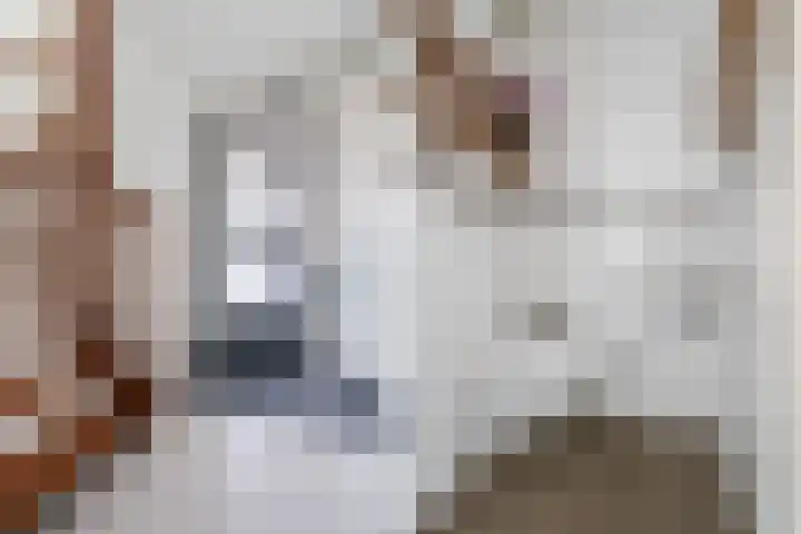 De Swel 7 Joure thumbnail 11