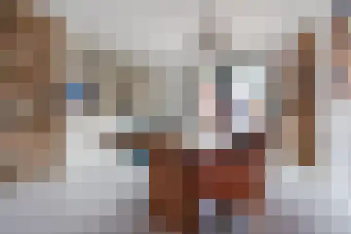 De Swel 7 Joure thumbnail 15