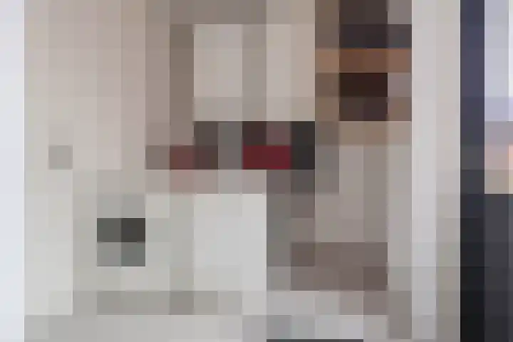 De Swel 7 Joure thumbnail 18