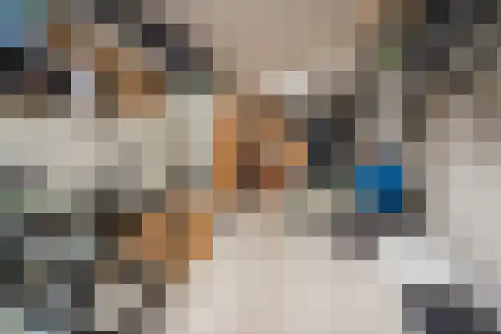 De Swel 7 Joure thumbnail 21