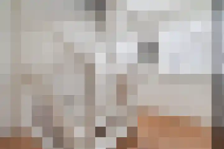 De Swel 7 Joure thumbnail 23