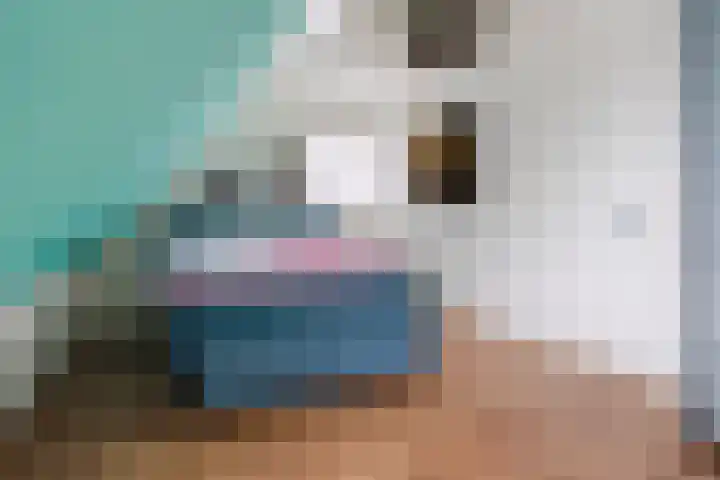 De Swel 7 Joure thumbnail 24