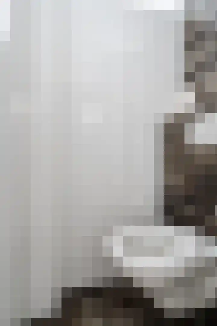 De Swel 7 Joure thumbnail 33