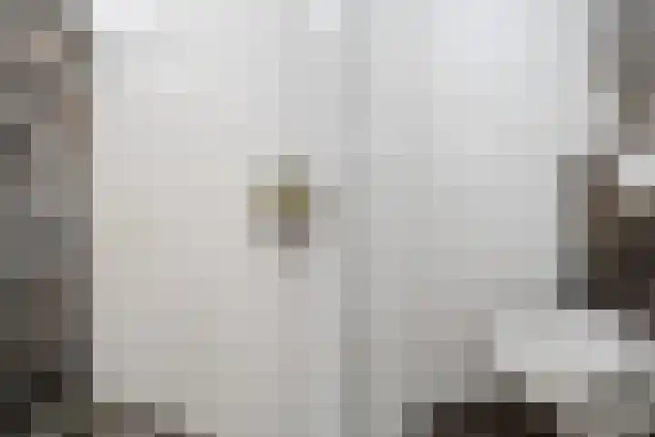 De Swel 7 Joure thumbnail 34