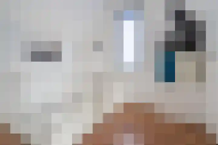 De Swel 7 Joure thumbnail 35