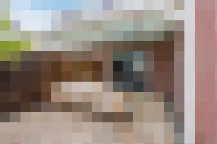 De Swel 7 Joure thumbnail 41