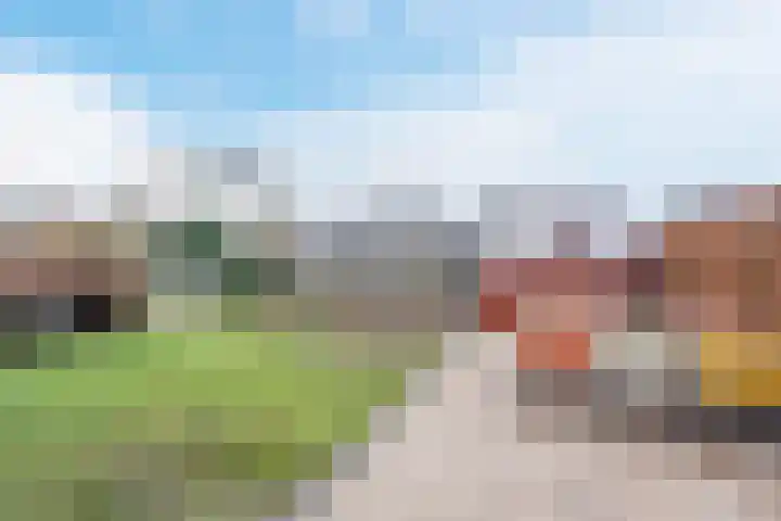 De Swel 7 Joure thumbnail 42