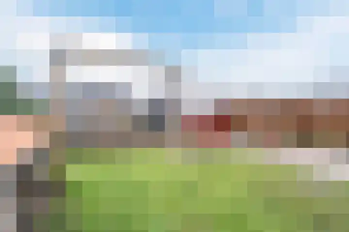 De Swel 7 Joure thumbnail 43