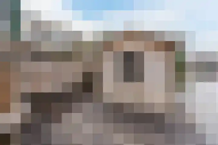 De Swel 7 Joure thumbnail 46