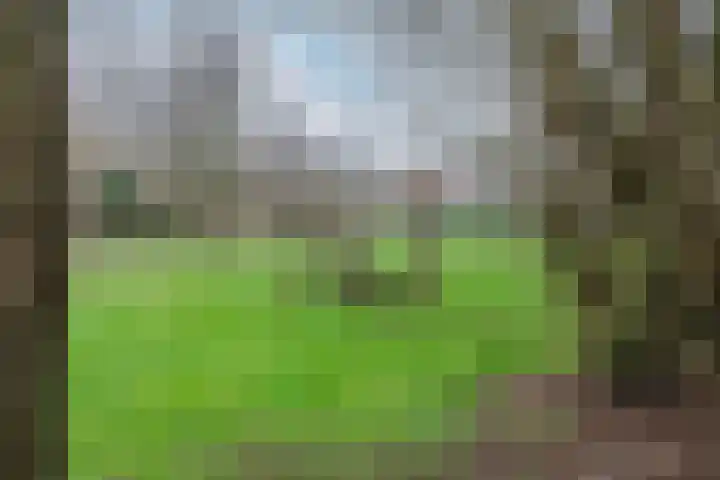 De Swel 7 Joure thumbnail 49