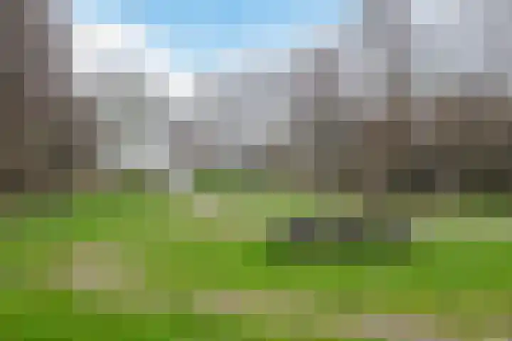 De Swel 7 Joure thumbnail 50