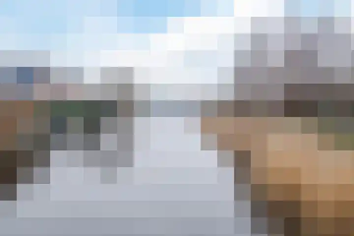 De Swel 7 Joure thumbnail 53