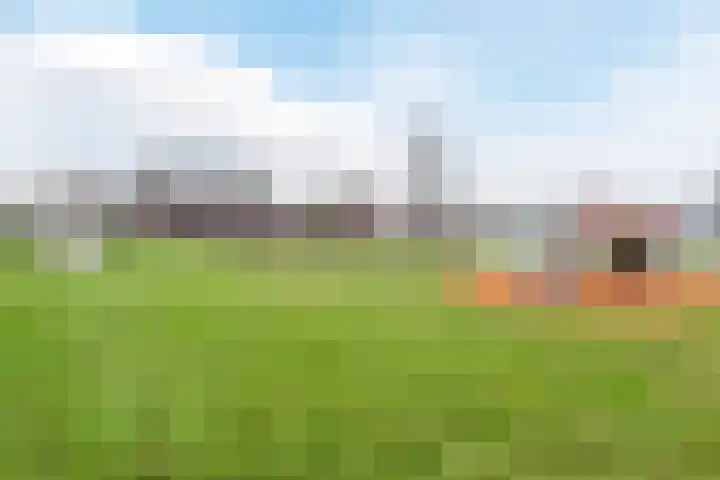 De Swel 7 Joure thumbnail 54