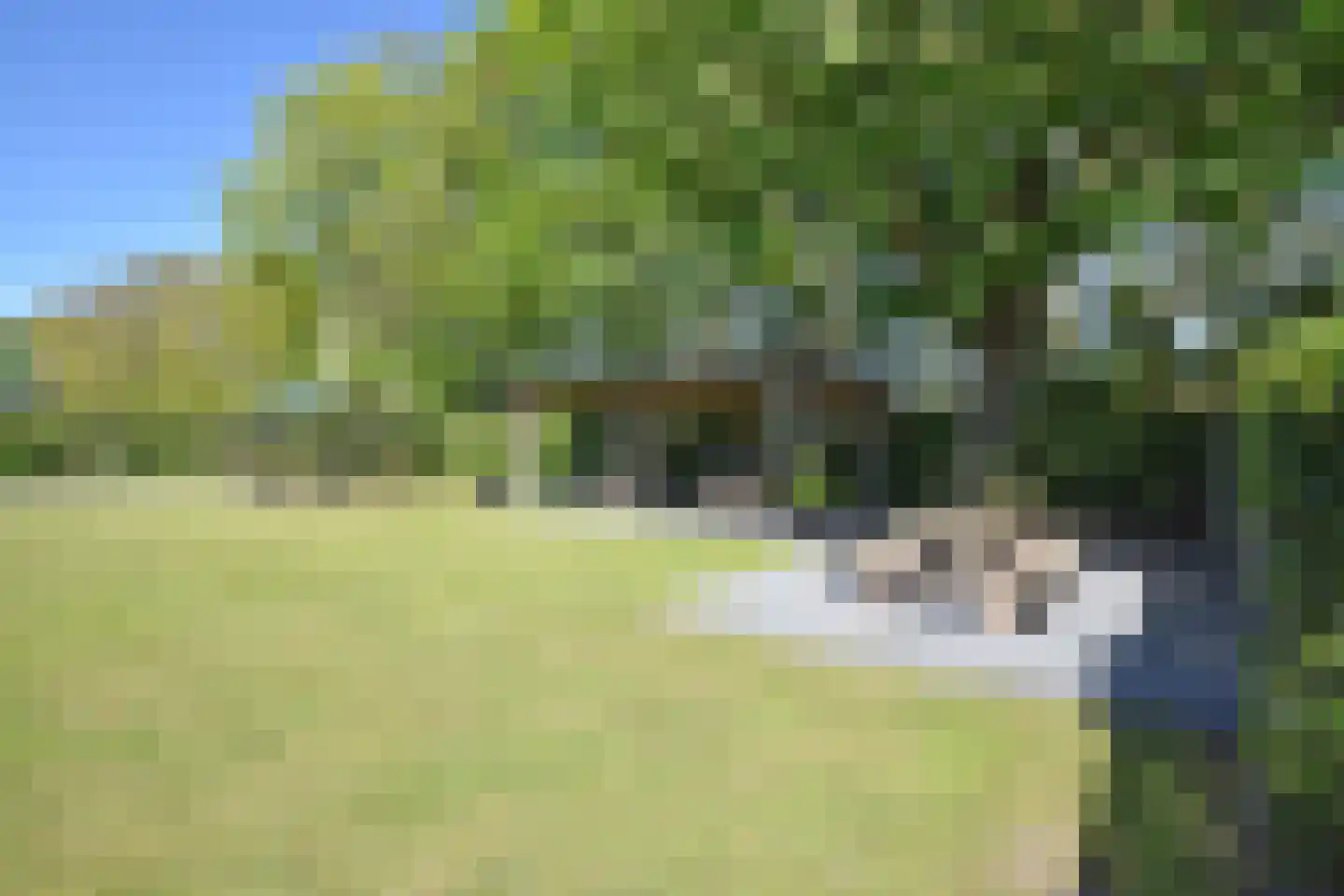 De Swette 15 Feanwâlden thumbnail 14