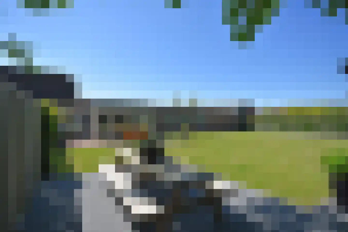 De Swette 15 Feanwâlden thumbnail 15