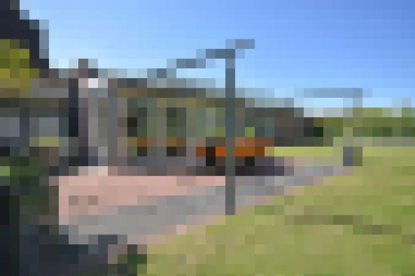 De Swette 15 Feanwâlden thumbnail 17