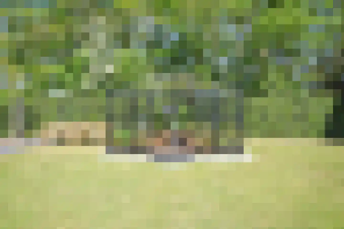 De Swette 15 Feanwâlden thumbnail 20