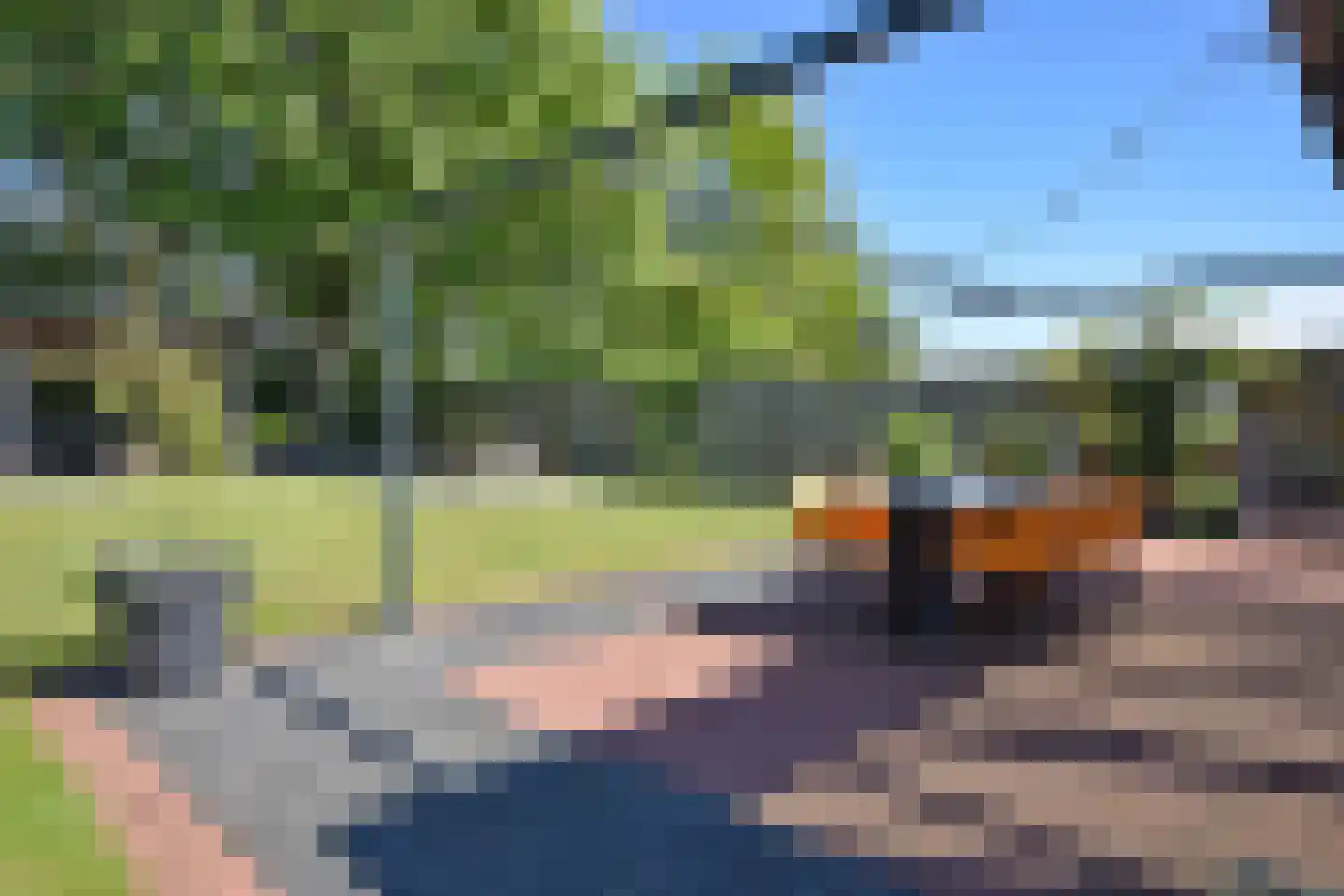 De Swette 15 Feanwâlden thumbnail 22
