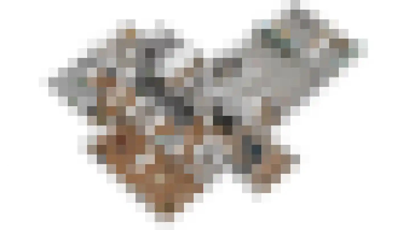 De Swette 15 Feanwâlden thumbnail 26
