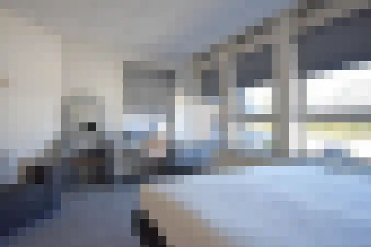 De Swette 15 Feanwâlden thumbnail 38