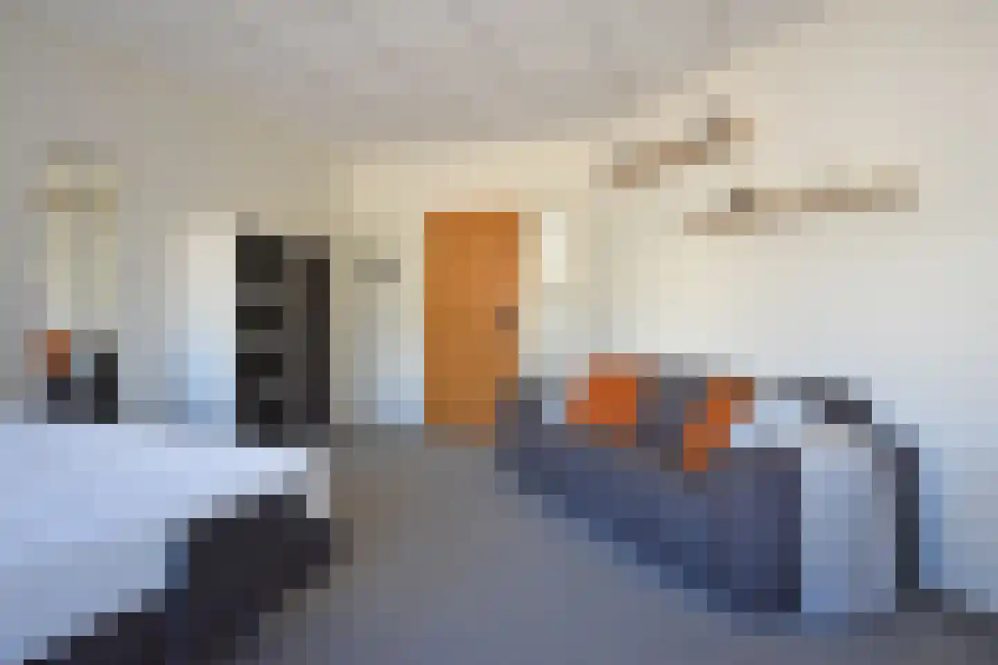 De Swette 15 Feanwâlden thumbnail 39