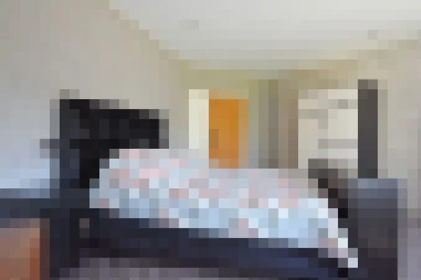 De Swette 15 Feanwâlden thumbnail 42