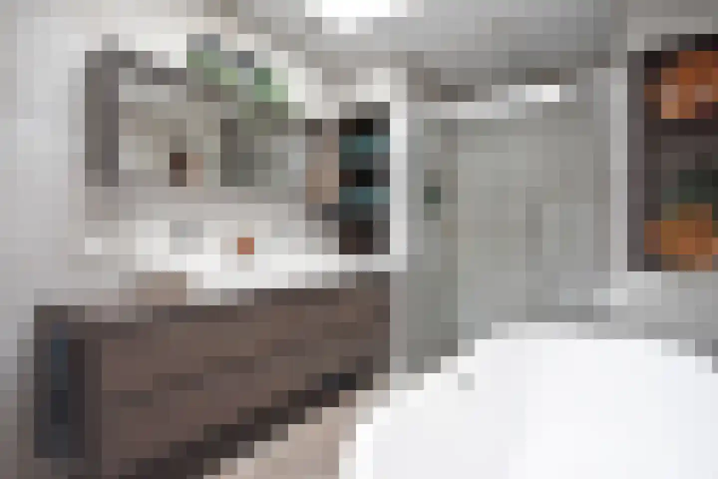 De Swette 15 Feanwâlden thumbnail 47