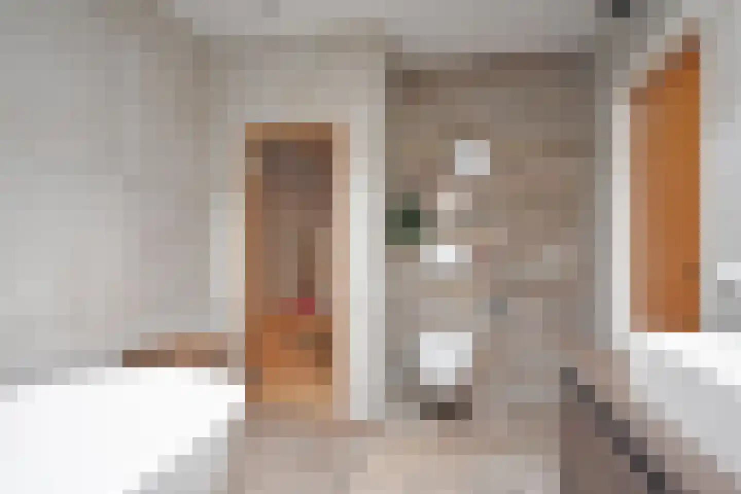 De Swette 15 Feanwâlden thumbnail 48